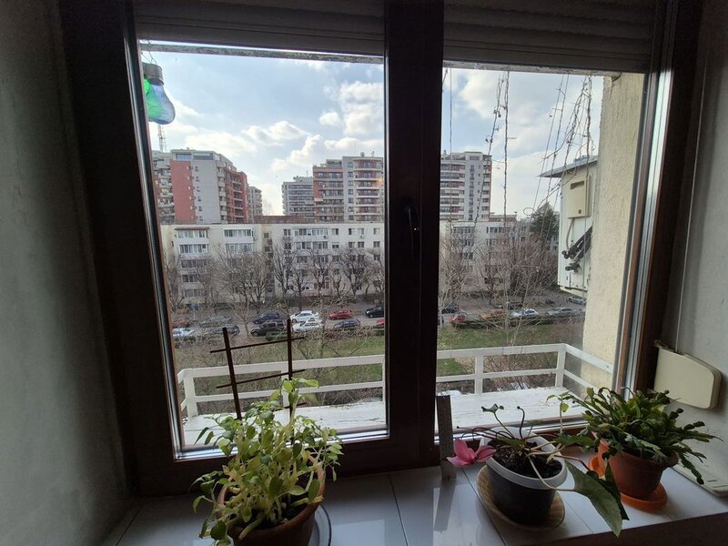 Aleea Circului, Parcul Circului,